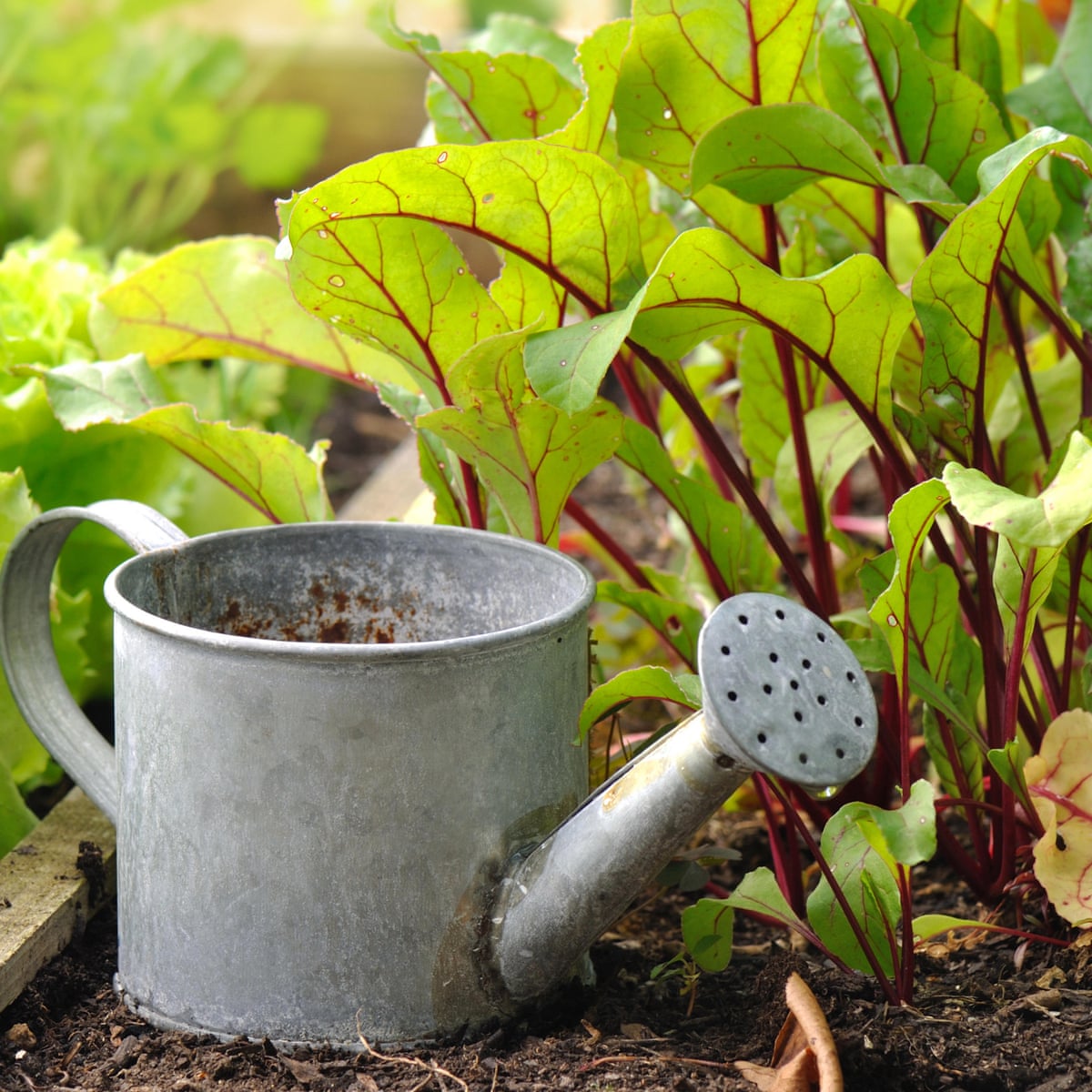 Benefits of Gardening and Plants - Earl May Garden Center