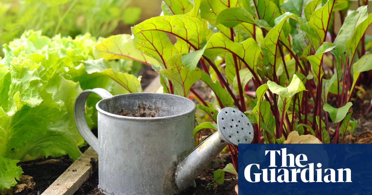 Coronavirus Gardening Boom Overwhelms Seed Suppliers In New