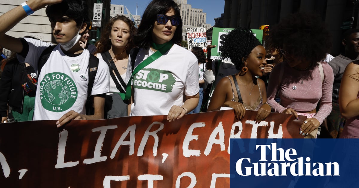 ‘A powerful solution’: activists push to make ecocide an international crime