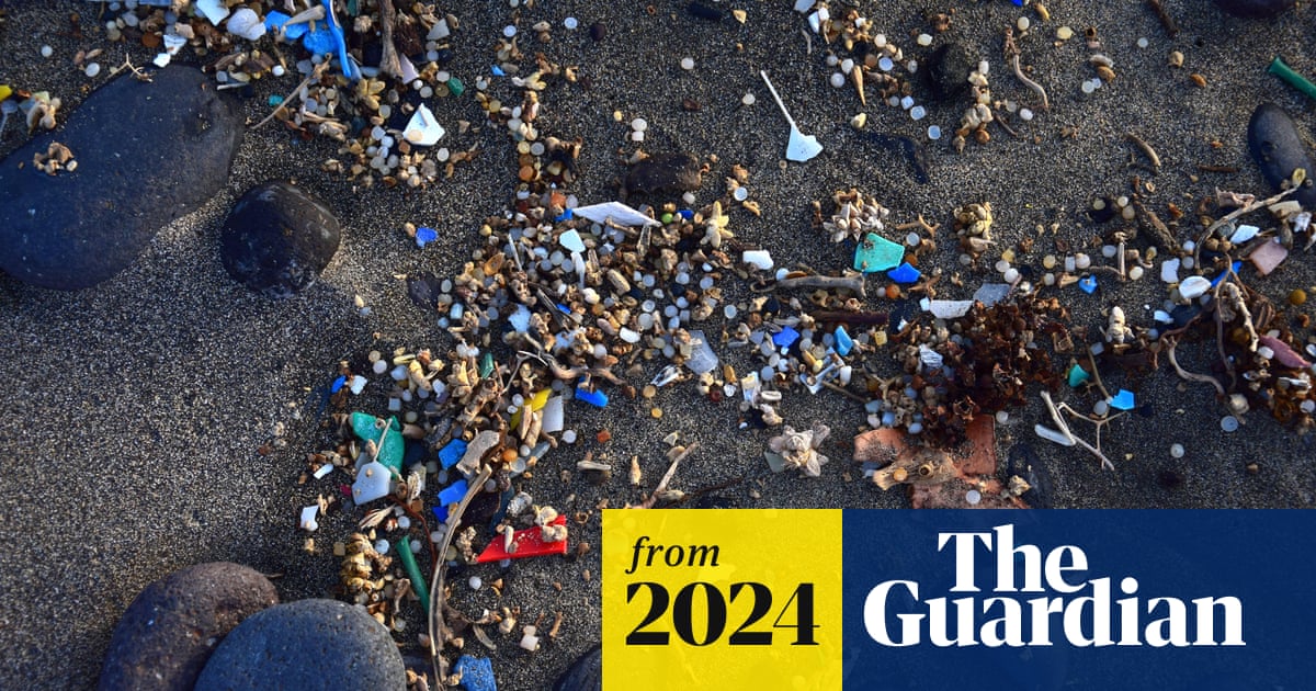 www.theguardian.com
