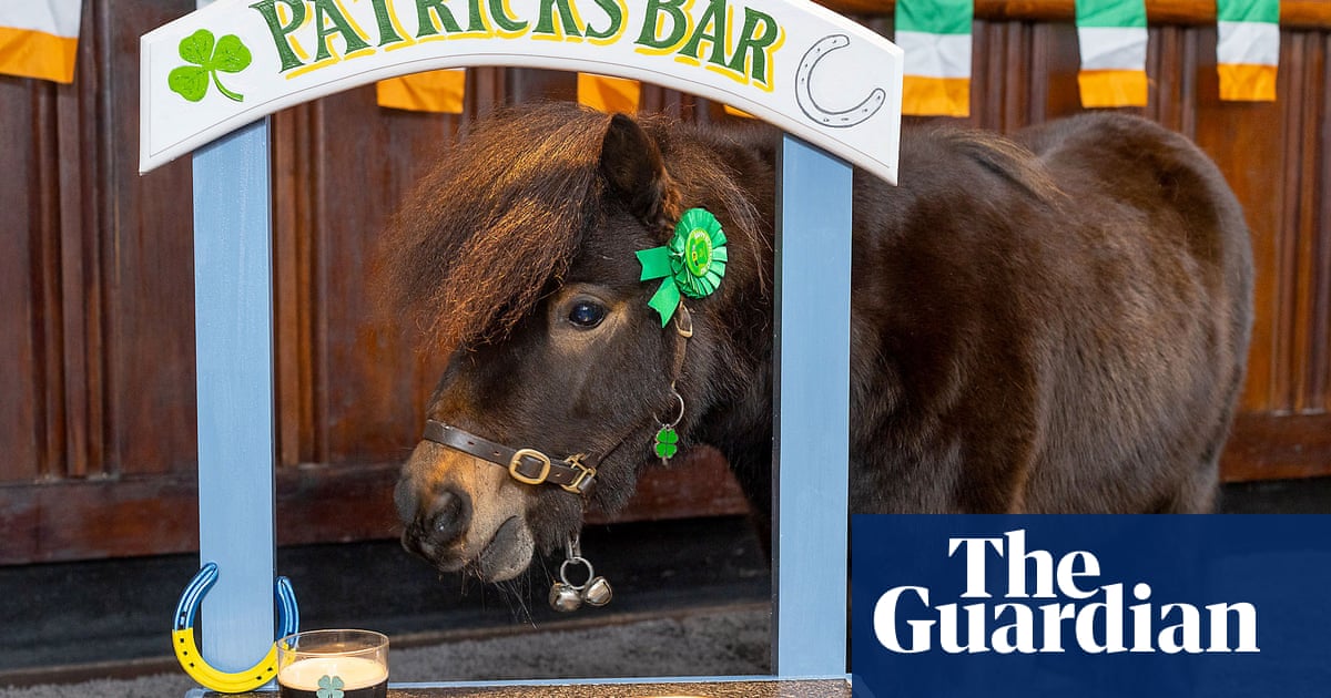 Why the long face? How a pony called Patrick was elected mayor of a Devon town – then barred from his local pub