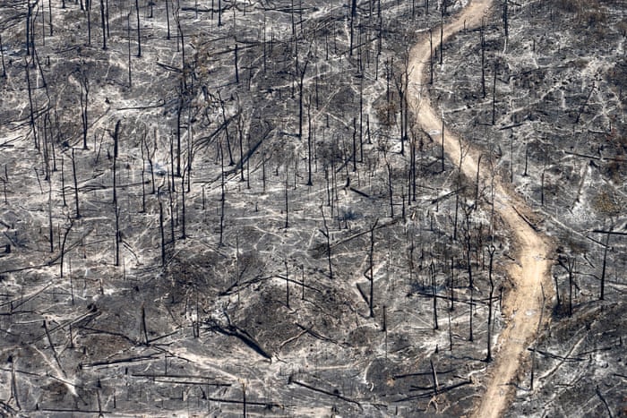 Beauty And Destruction The Amazon Rainforest In Pictures Global Development Professionals Network The Guardian Beauty And Destruction The Amazon Rainforest In Pictures Global Development Professionals Network The Guardian