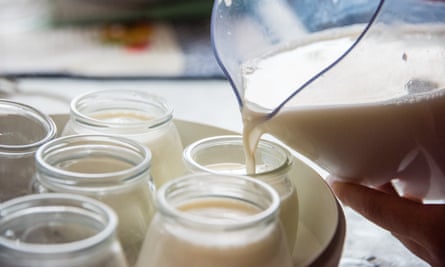homemade yogurt in pots
