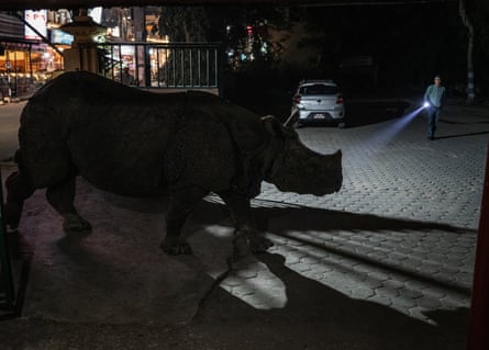 A man holding a torch guides a rhinoceros through a hotel garden at night