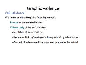 Animal Abuse 29