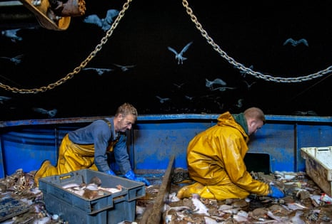 Two men in yellow fishers’ waterproofs kneel to scoop fish off the deck of a trawler into a crate with their hands