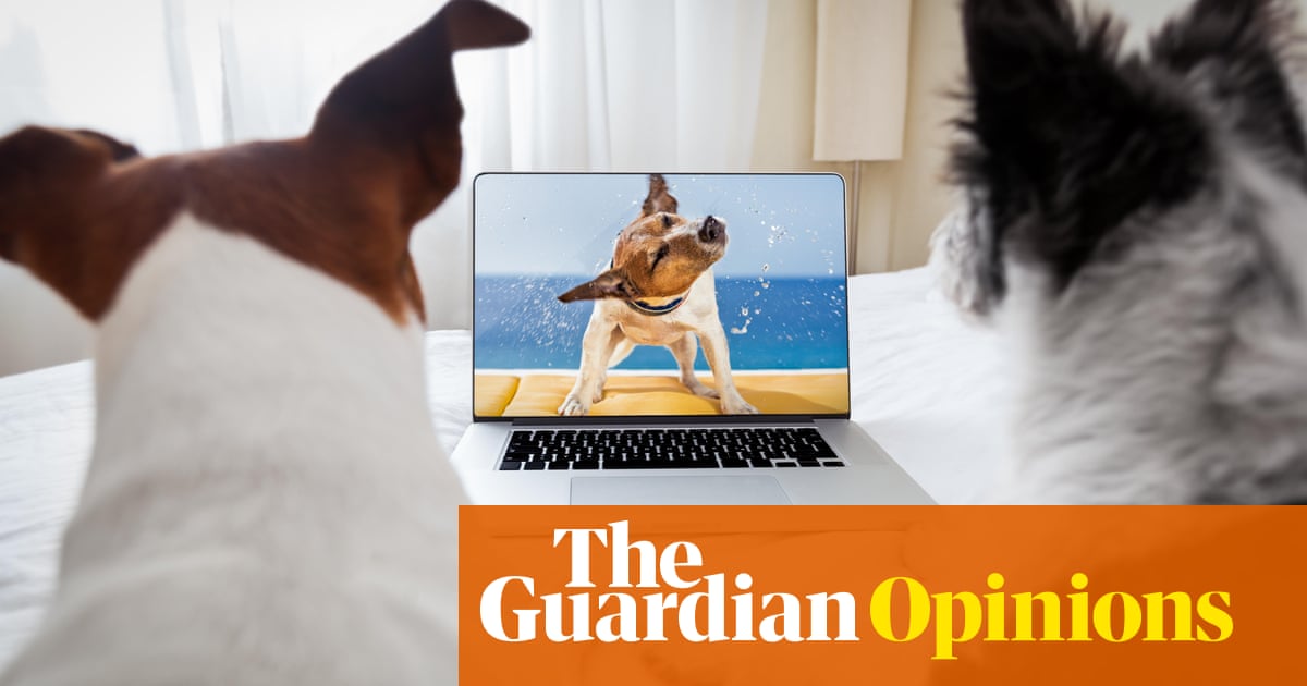We are way past peak puppy – it’s time to end the great British dog obsession