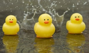 rubber duck race