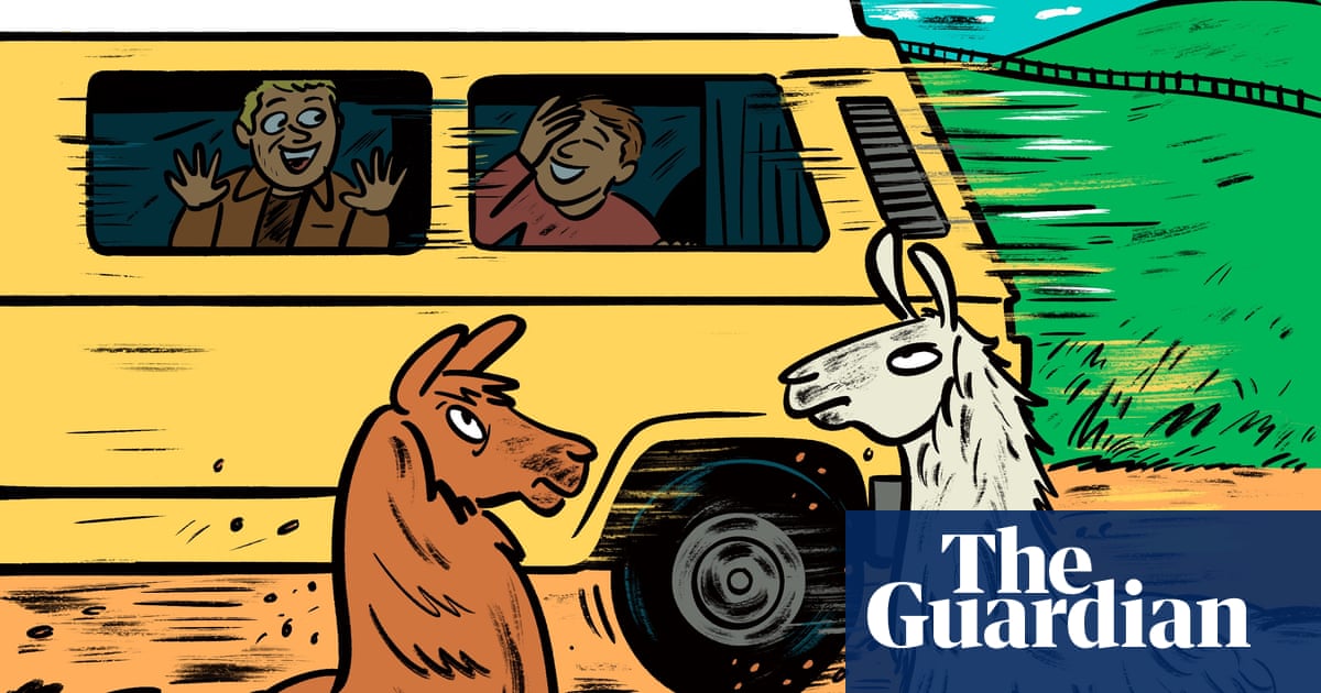 My big night out: I woke up on a llama farm in Germany – hungover and lying beside a naked punk