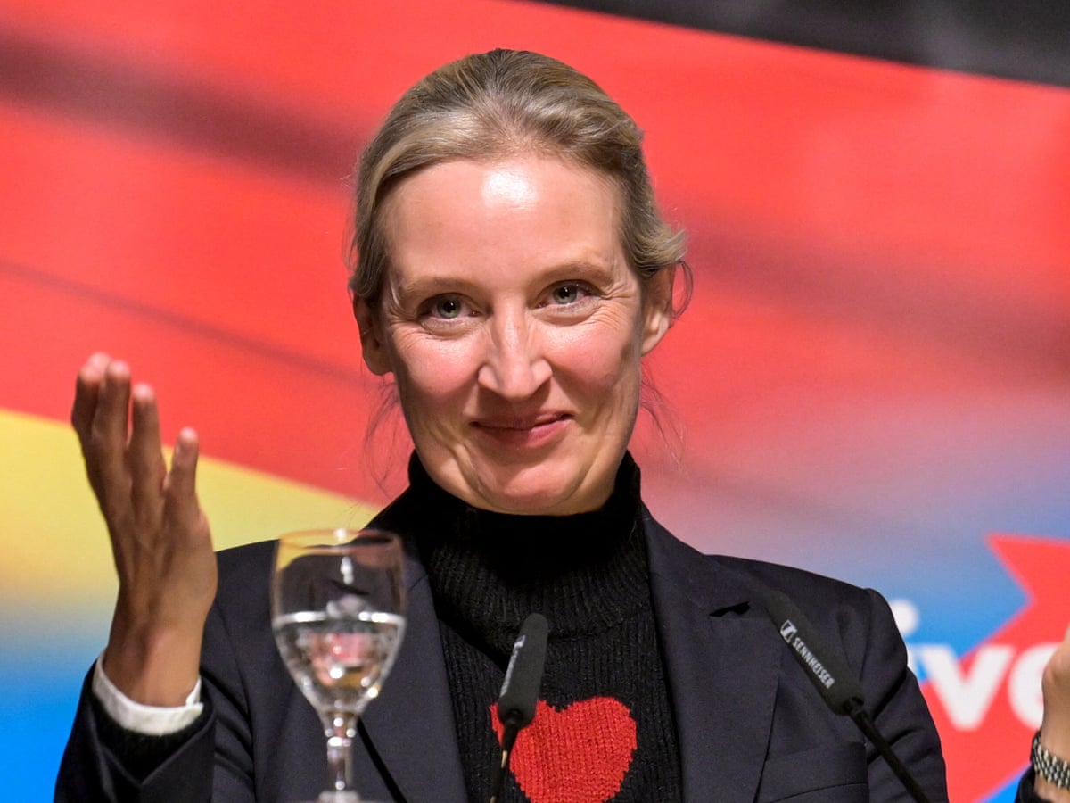 Alice Weidel is the presentable face of the AfD. And the one its opponents should fear the most | Katja Hoyer | The Guardian