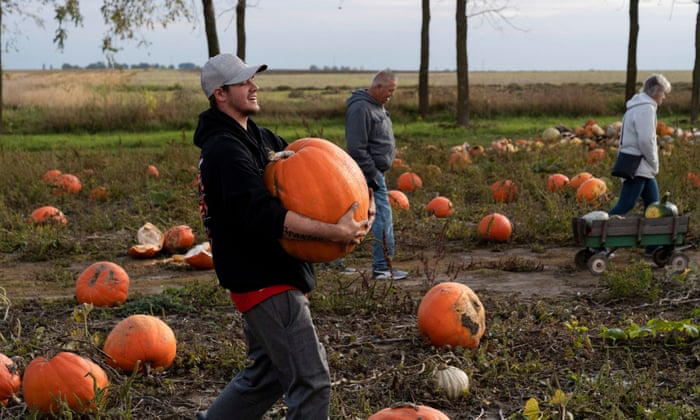 A man carries a pumpkin through a field.
