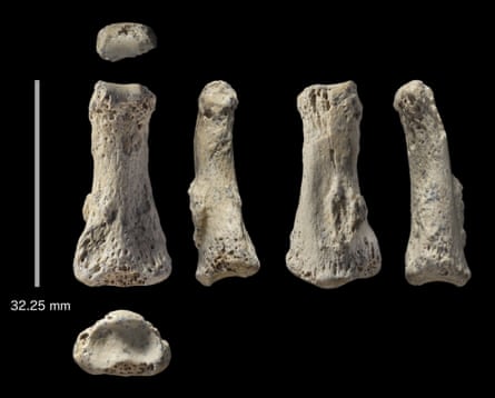 The fossil finger bone from the Al Wusta site, seen from six different angles.