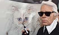 Is Karl Lagerfeld's cat the most pampered animal in fashion?