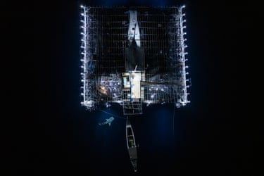 An overhead night shot of a shark illuminated by a boat’s lights