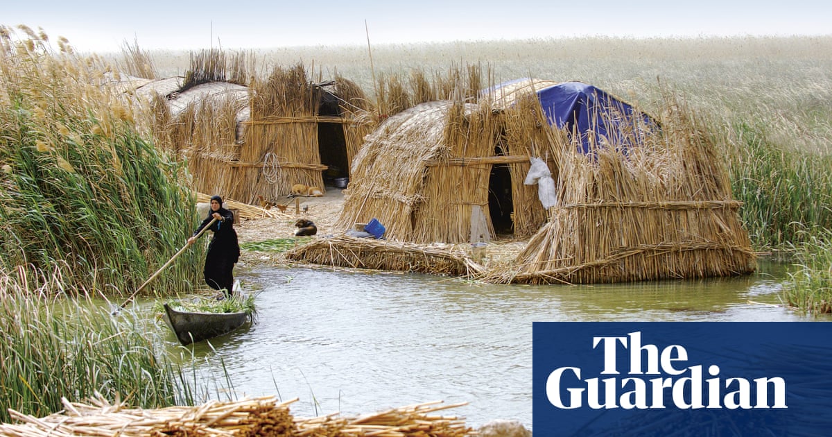 The case for ... making low-tech 'dumb' cities instead of 'smart' ones