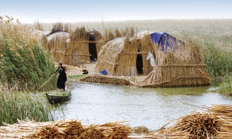 The Ma’dan people in Iraq weave buildings and floating islands from reeds.
