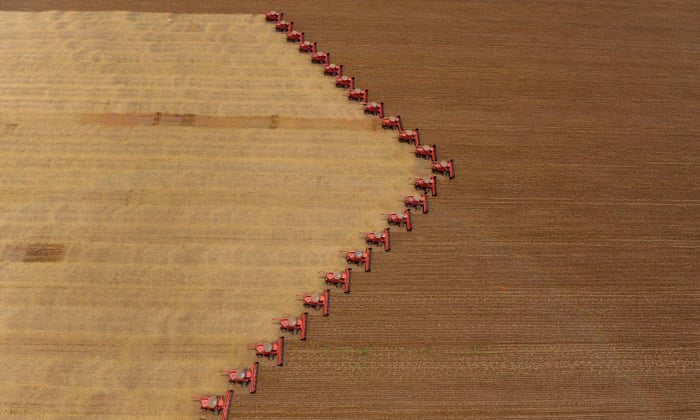 Vast animal-feed crops to satisfy our meat needs are destroying planet |  Meat industry | The Guardian