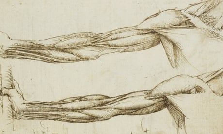 How Leonardo figured out the beauty of anatomy