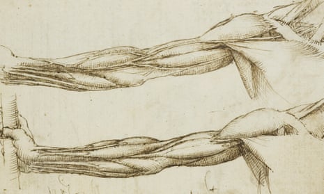 The veins and muscles of the arm drawn by Leonardo da Vinci.
