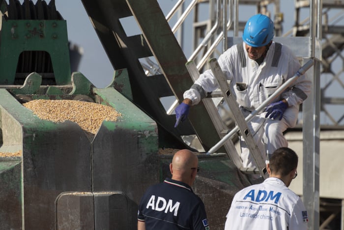 A picture of unloading operations following the docking of the Rojen cargo ship in Ravenna, Italy, on 13 August 2022. The ship left the port of Chornomorsk, near Odessa, Ukraine, on 05 August, carrying 15,000 tons of corn seeds, and arrived at Ravenna on 12 August. It is the first such shipping to reach Italy.