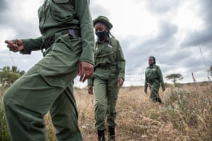 On morning patrol for animals and poachers