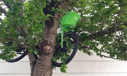 Lime’s ebikes have even been found in trees.