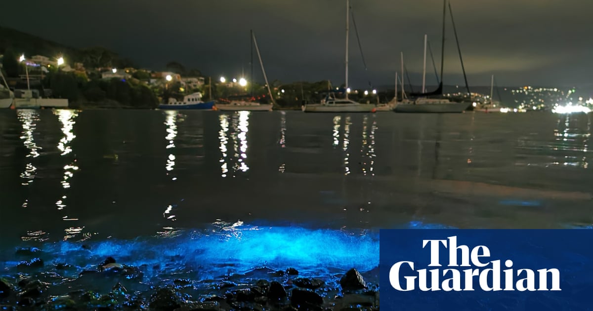 'It's beautiful': bioluminescence lights up ocean in Tasmania and parts of NSW in glowing end to 2023