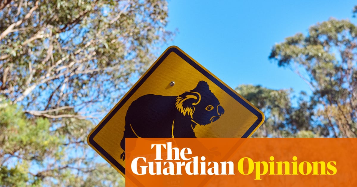 NSW’s koala national park will protect threatened species and cap logging across the state. Could the Greens really block it? | Adam Morton