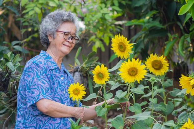 Woman standing next to a sunflower patch