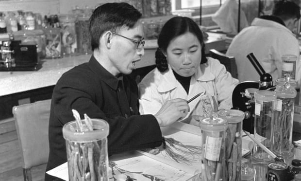 Tu working with Prof Lou Zhicen in the 1950s.
