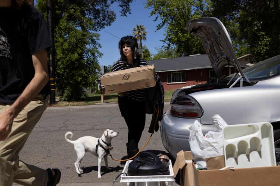 woman takes box out of car trunk while her dog watches