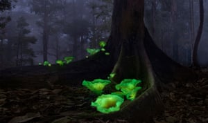 Glowing mushrooms at the base of a tree