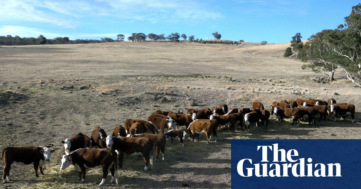 Desolate': farmers in NSW's west battle drought as east coast mops up after floods