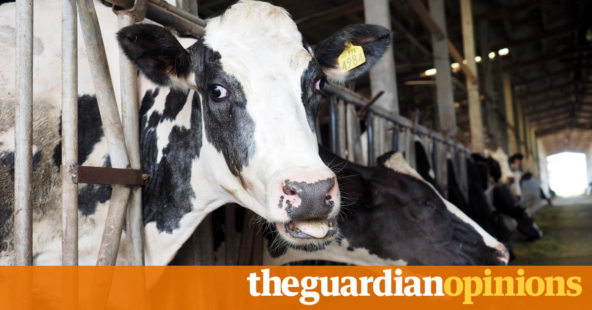 Animal agriculture is choking the Earth and making us sick. We must act now | James Cameron and Suzy Amis Cameron 2