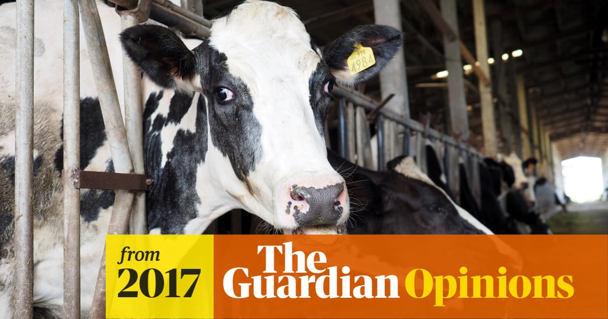 Animal agriculture is choking the ​Earth and making us sick. We must act now | James Cameron and Suzy Amis Cameron