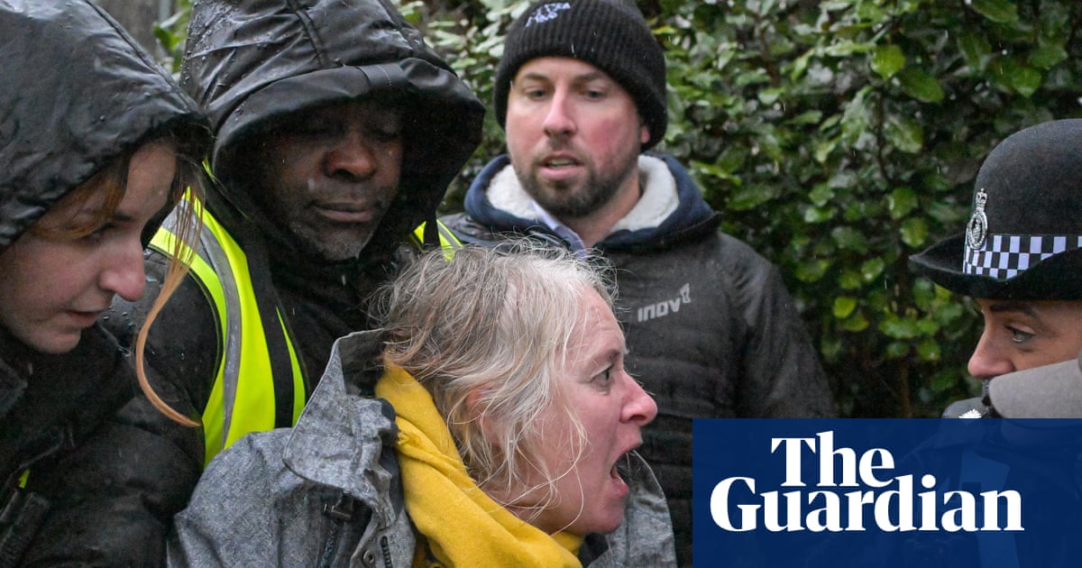 Cornish activist injured as police remove her from tree-felling protest