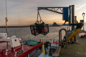 Crab is seen being offloaded from a boat on in Lindisfarne