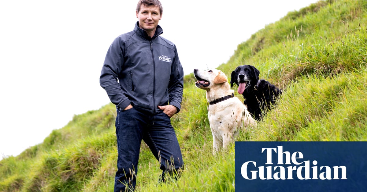 Experience: I taught two dogs to fly a plane