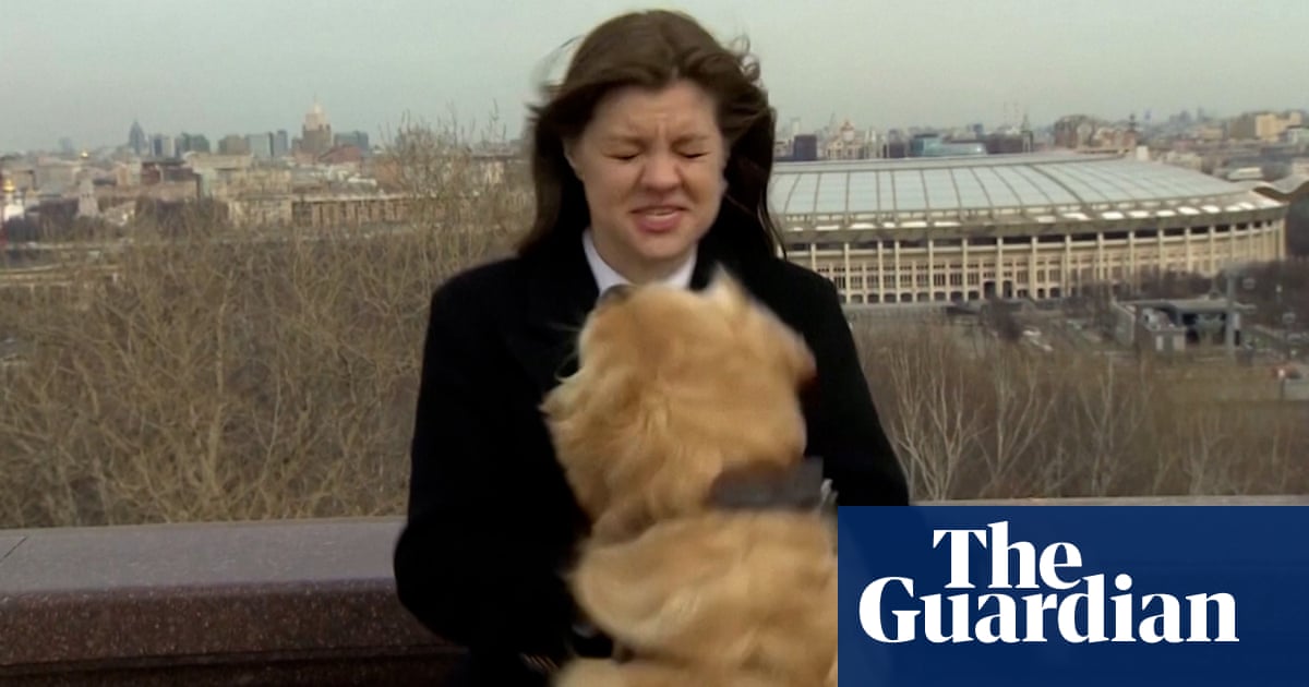 Dog interrupts live weather report in Moscow, borrowing journalist’s microphone – video
