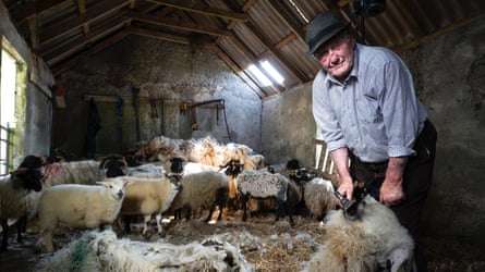 Paddy Liam O’Brien, a sheep shearer, on his farm