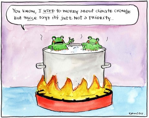 251115 Climate frogs (1)