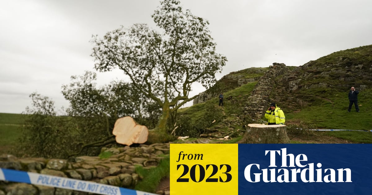 www.theguardian.com