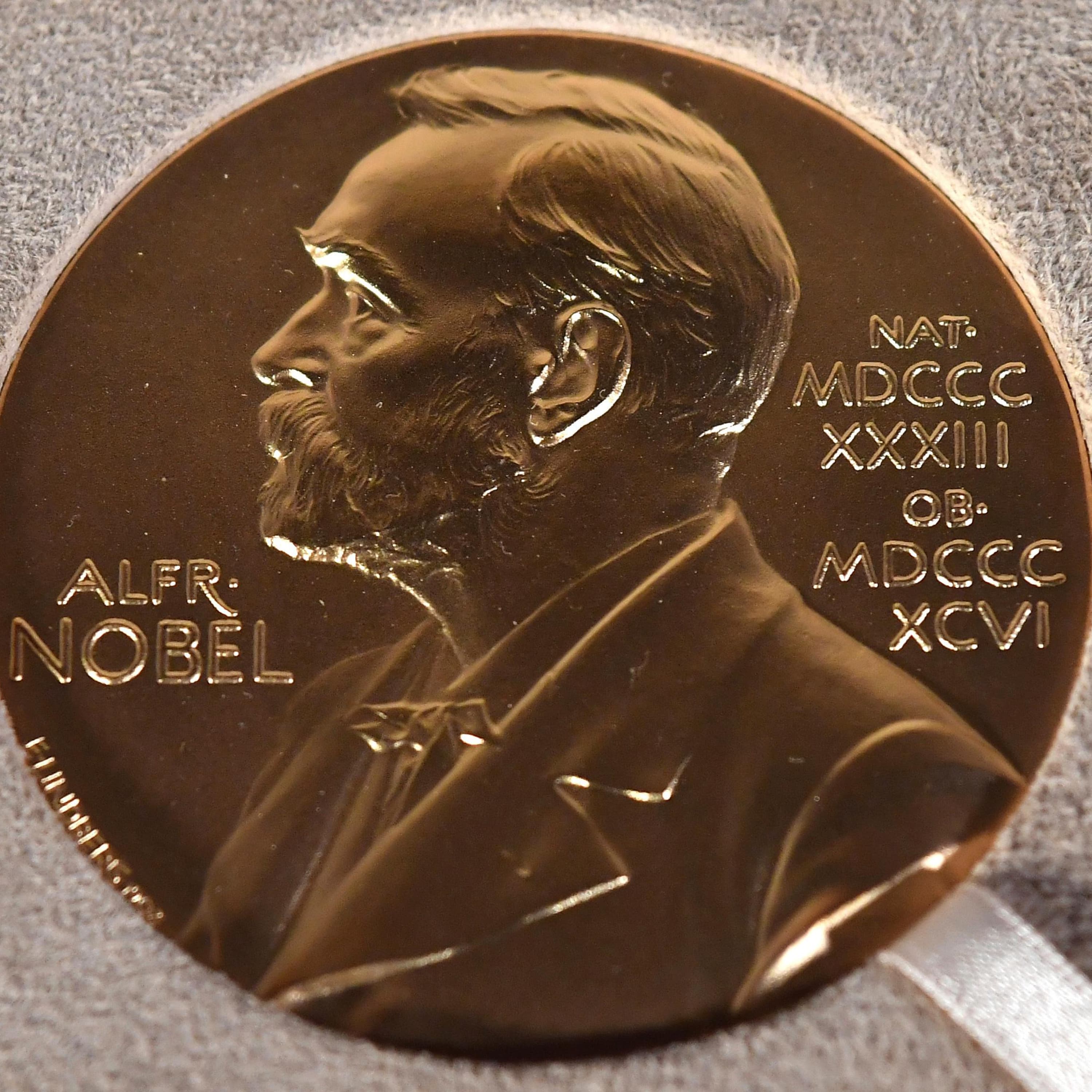 All the news and science from the 2025 Nobel prizes