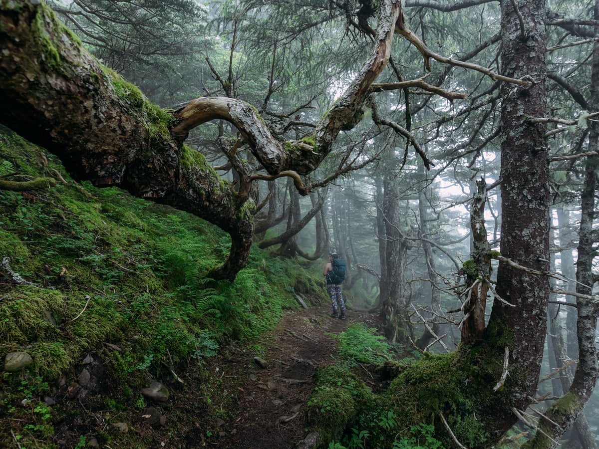 A Piece Of Alaskan Paradise Is At Risk Here S Why We Must Save It Kim Heacox The Guardian A Piece Of Alaskan Paradise Is At Risk Here S Why We Must Save It Kim Heacox The Guardian