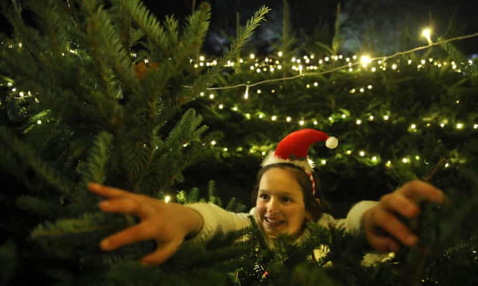 Christmas Trees How The Costs Of Real Fake And Potted Stack Up Christmas The Guardian 7ft Real Christmas Tree Near Me