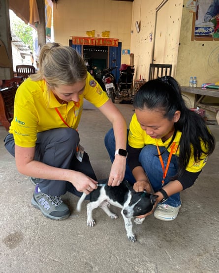 Robyn Thomson vaccinating a dog.