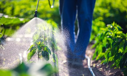 Um trabalhador agrícola na Bulgária trata as plantações com pesticidas.