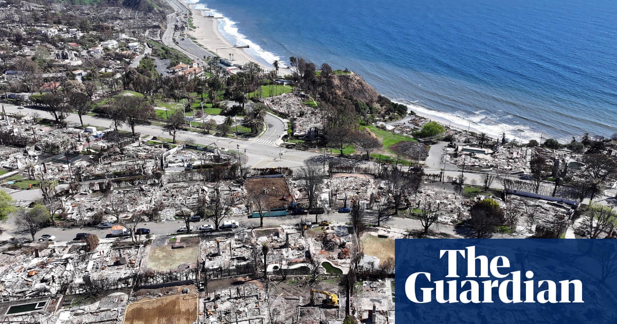https://www.theguardian.com/environment/2025/apr/03/climate-crisis-on-track-to-destroy-capitalism-warns-allianz-insurer social preview image