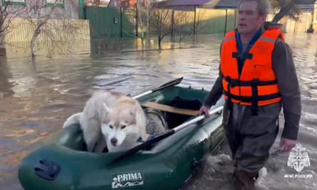 A dog in a dinghy being rescued from flood waters