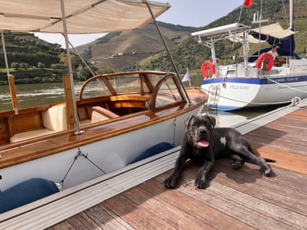 There are dog-friendly boat trips available at Pinhão.
